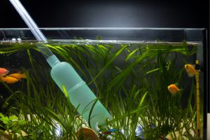 schoonmaken van een aquarium